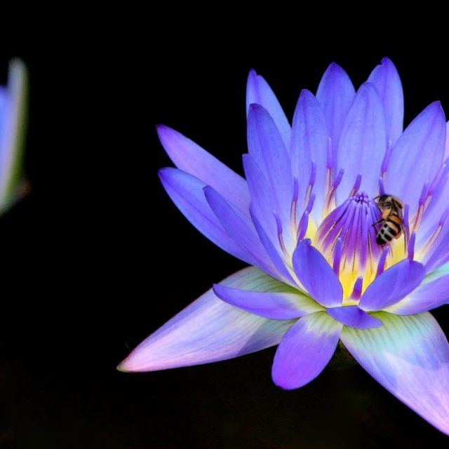 Vero Beach In The Summertime