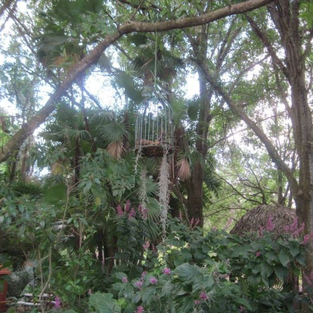 Heathcote Botanical Gardens.