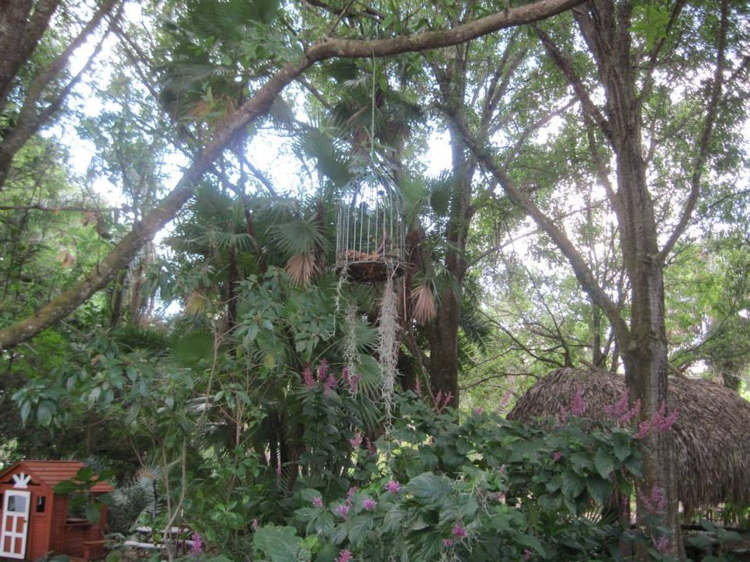 Heathcote Botanical Gardens.