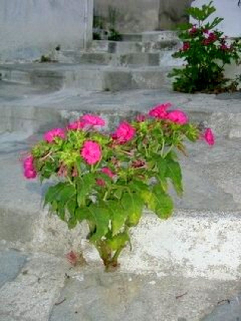 Against All Odds, Skopelos Greece