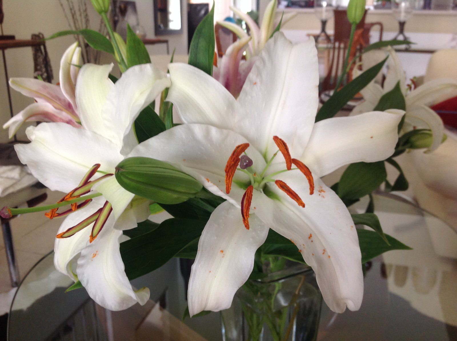 Lilies In Vero
