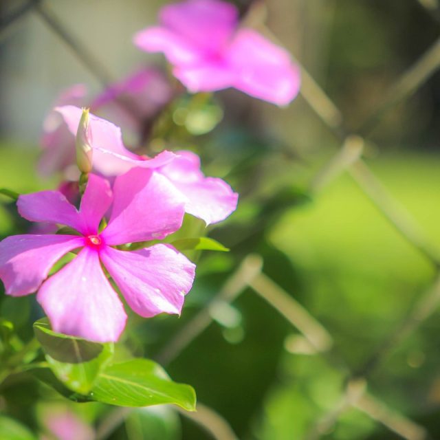 Gabriel's photo