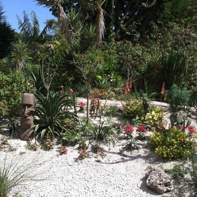 Mounts Botanical Gardens