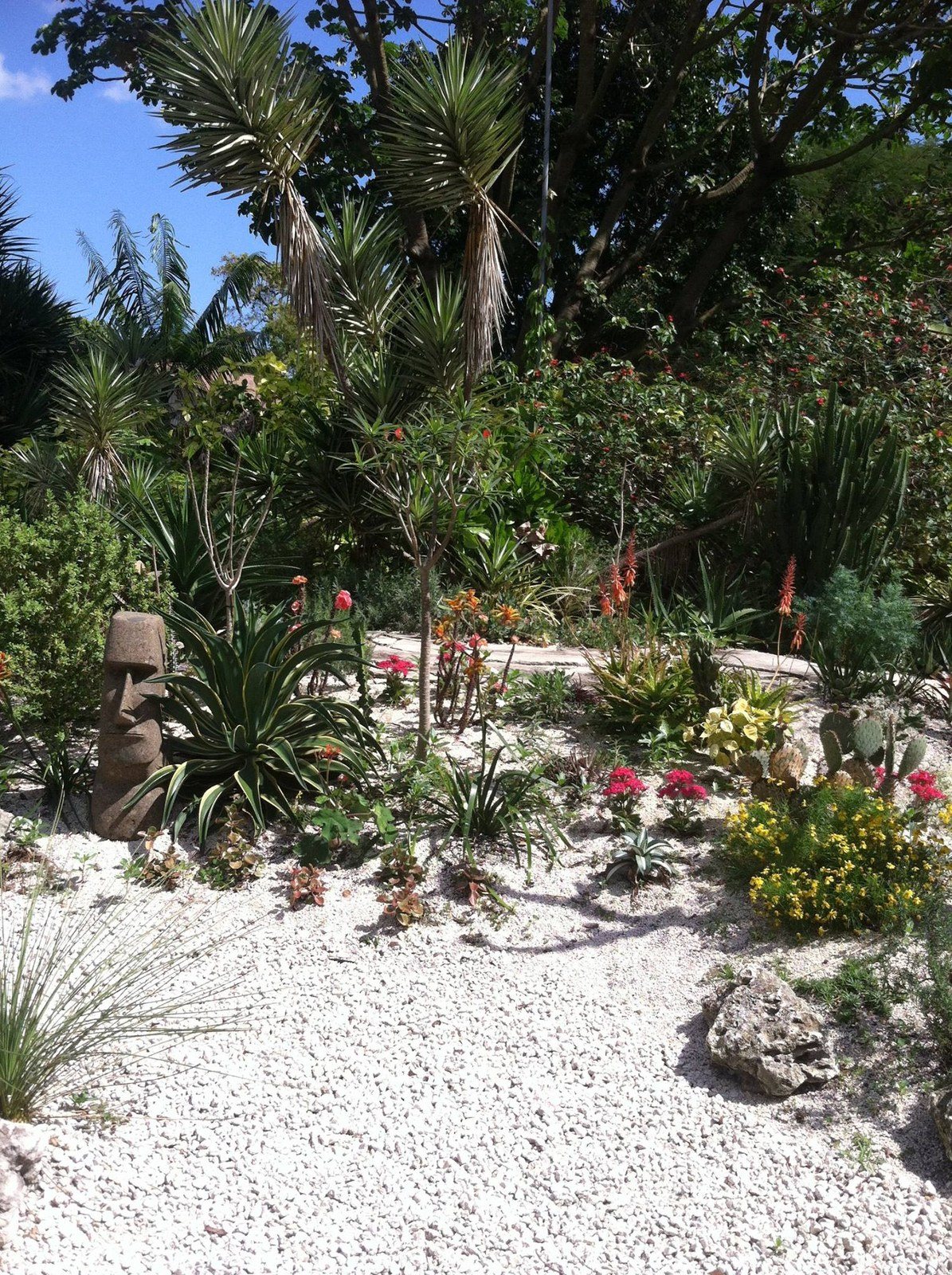 Mounts Botanical Gardens