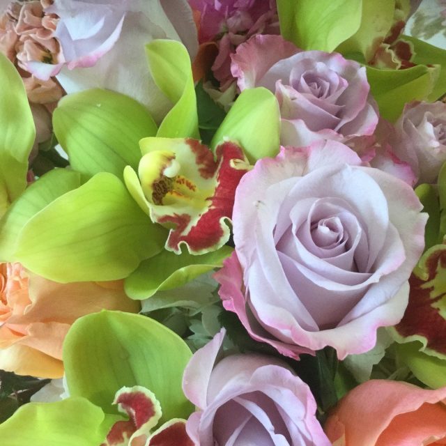 Lavender In Love