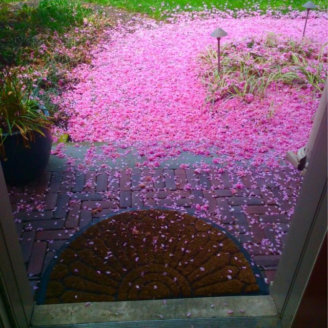 Pink Snow