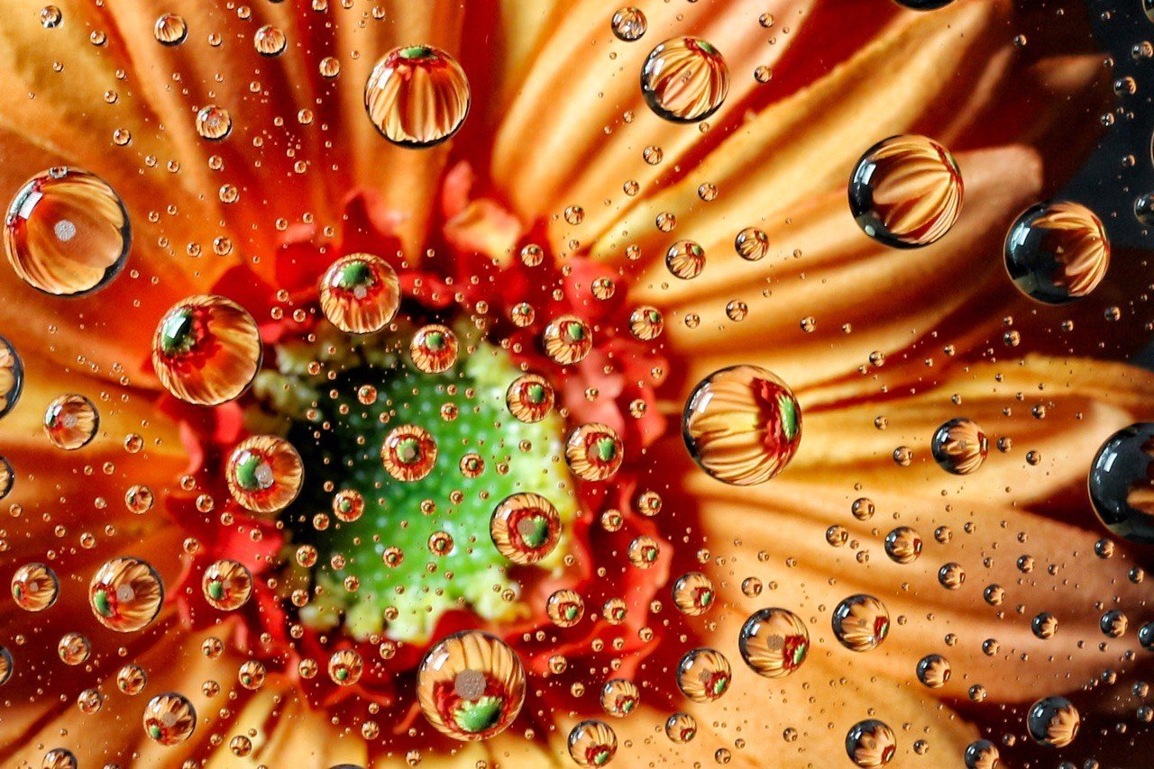 Florida Water Drops