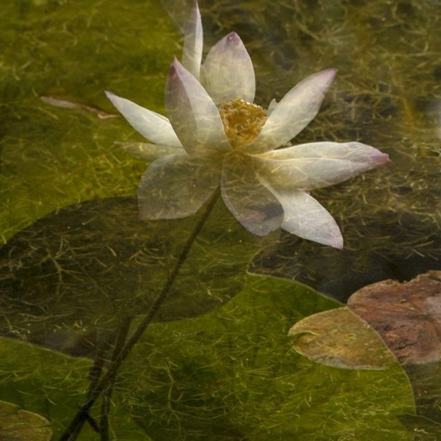 Reflection