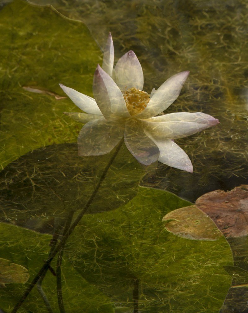 Reflection