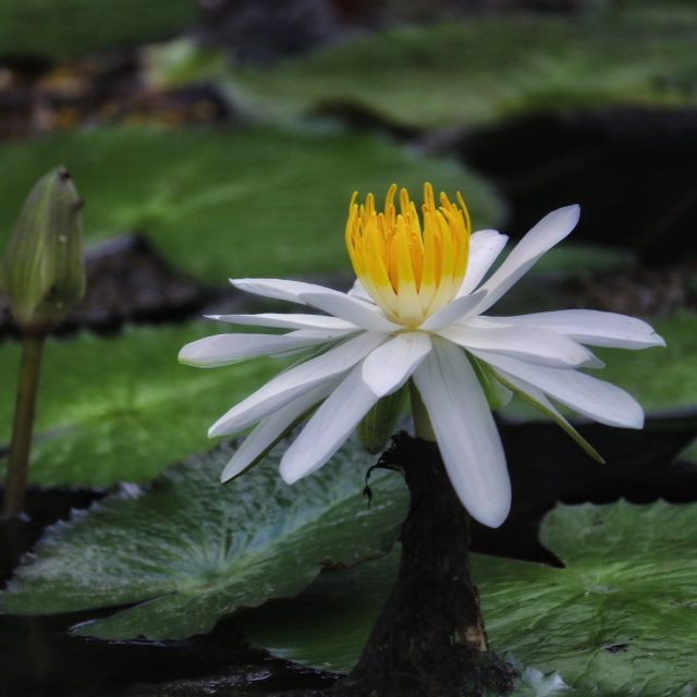 Opening Up