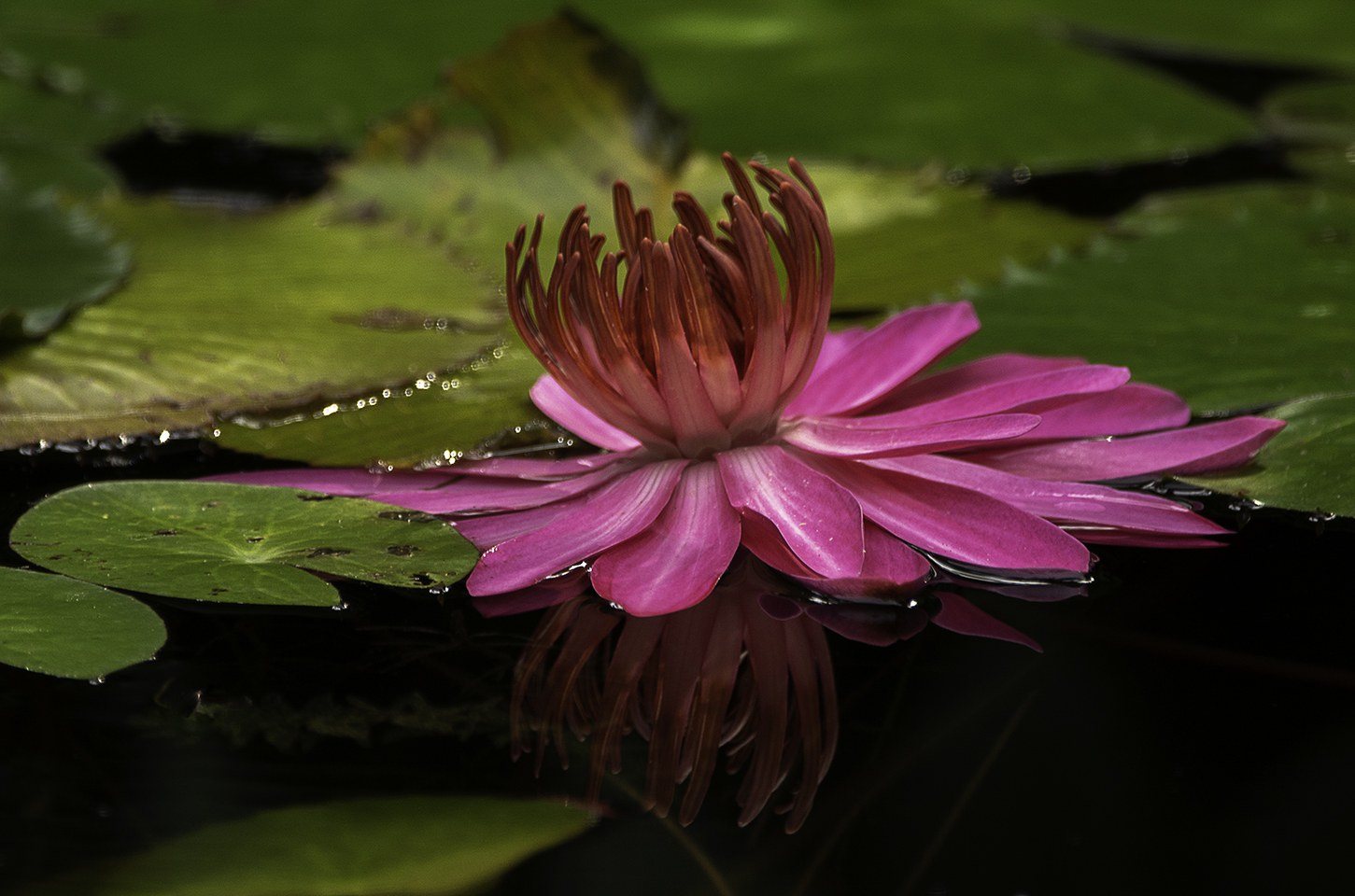 Reflection