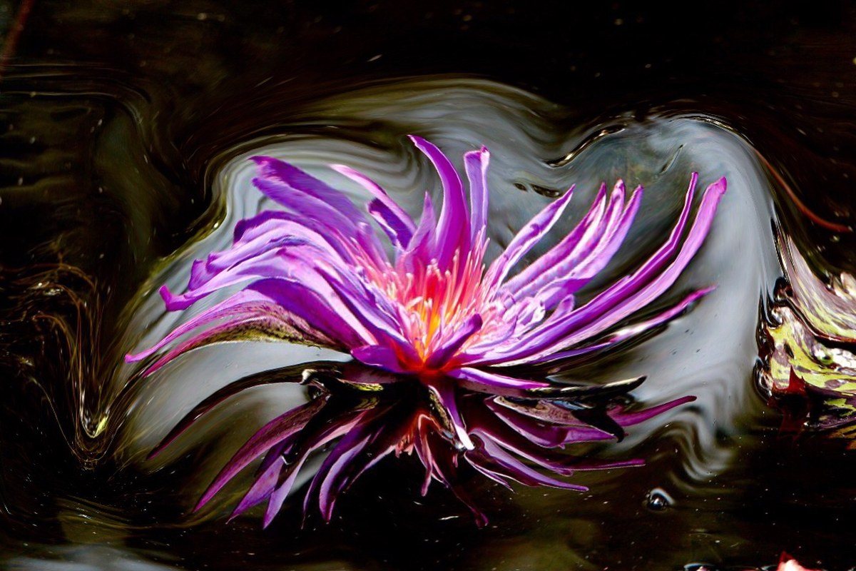 Swirl Of Colors