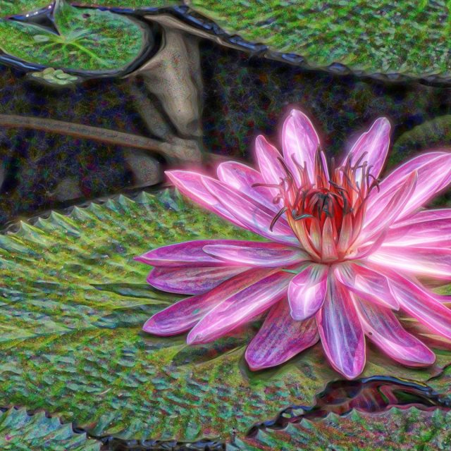 Tickled Pink