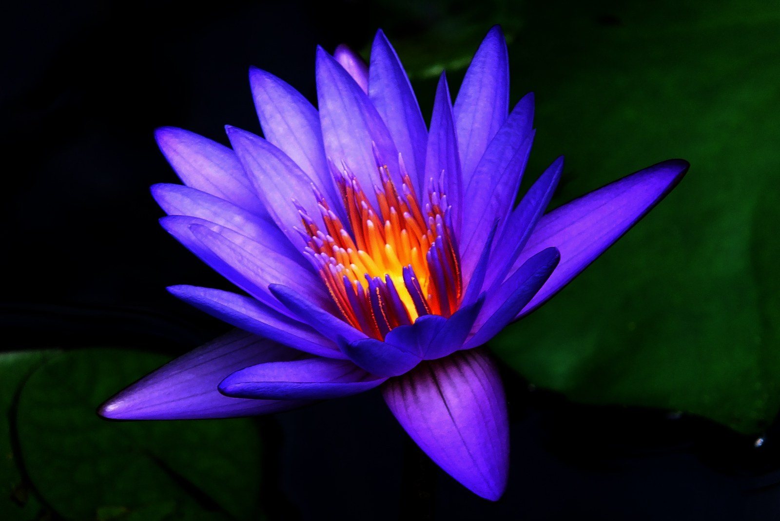All Aglow