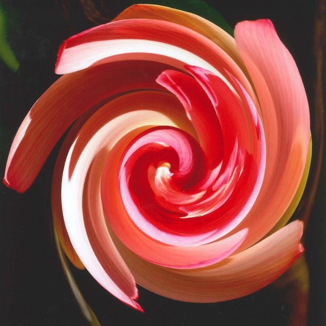 Lotus Swirl