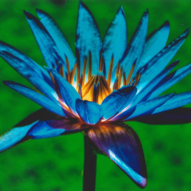 Electric Blue
