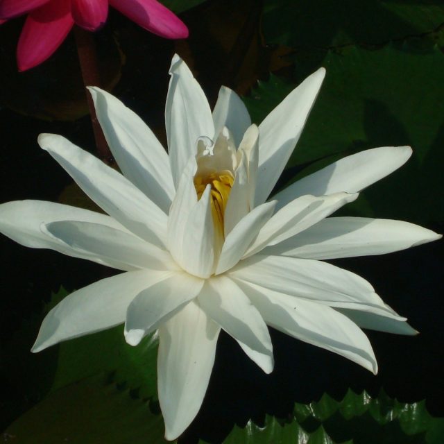 New Beginning
