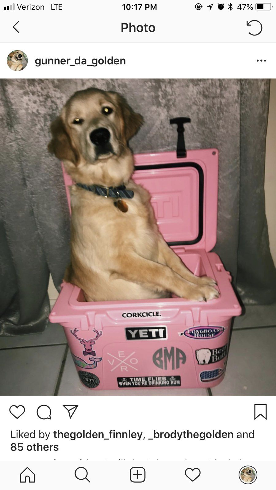 Yeti Pups