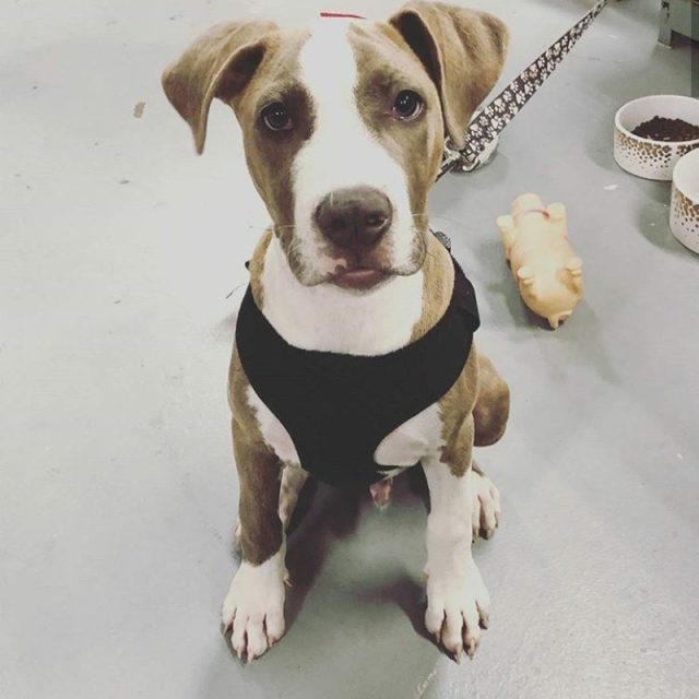 Working With Mommy