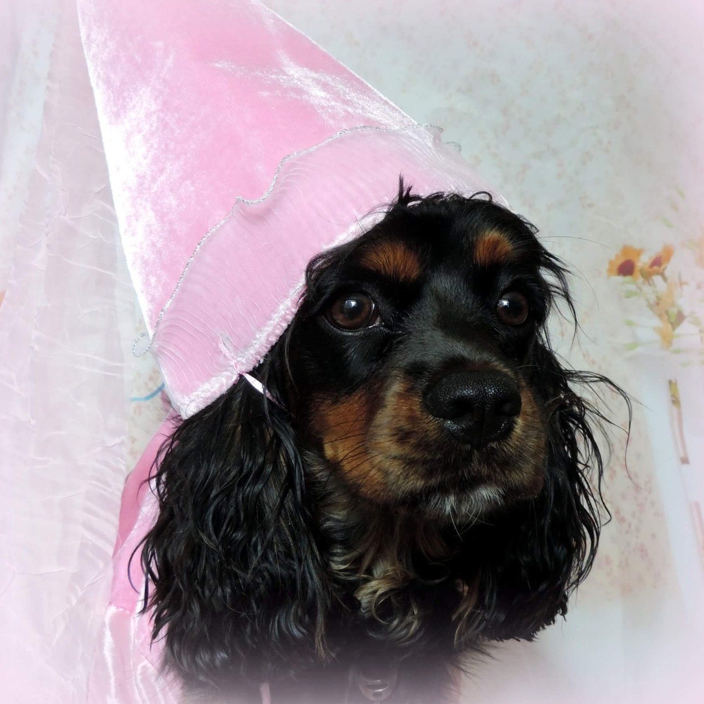 My First Birthday Photo