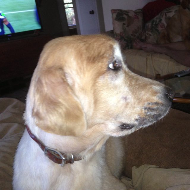 But This Is My Best Profile!!!