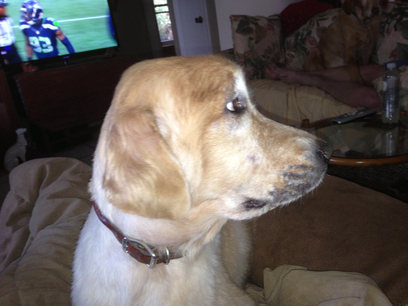 But This Is My Best Profile!!!