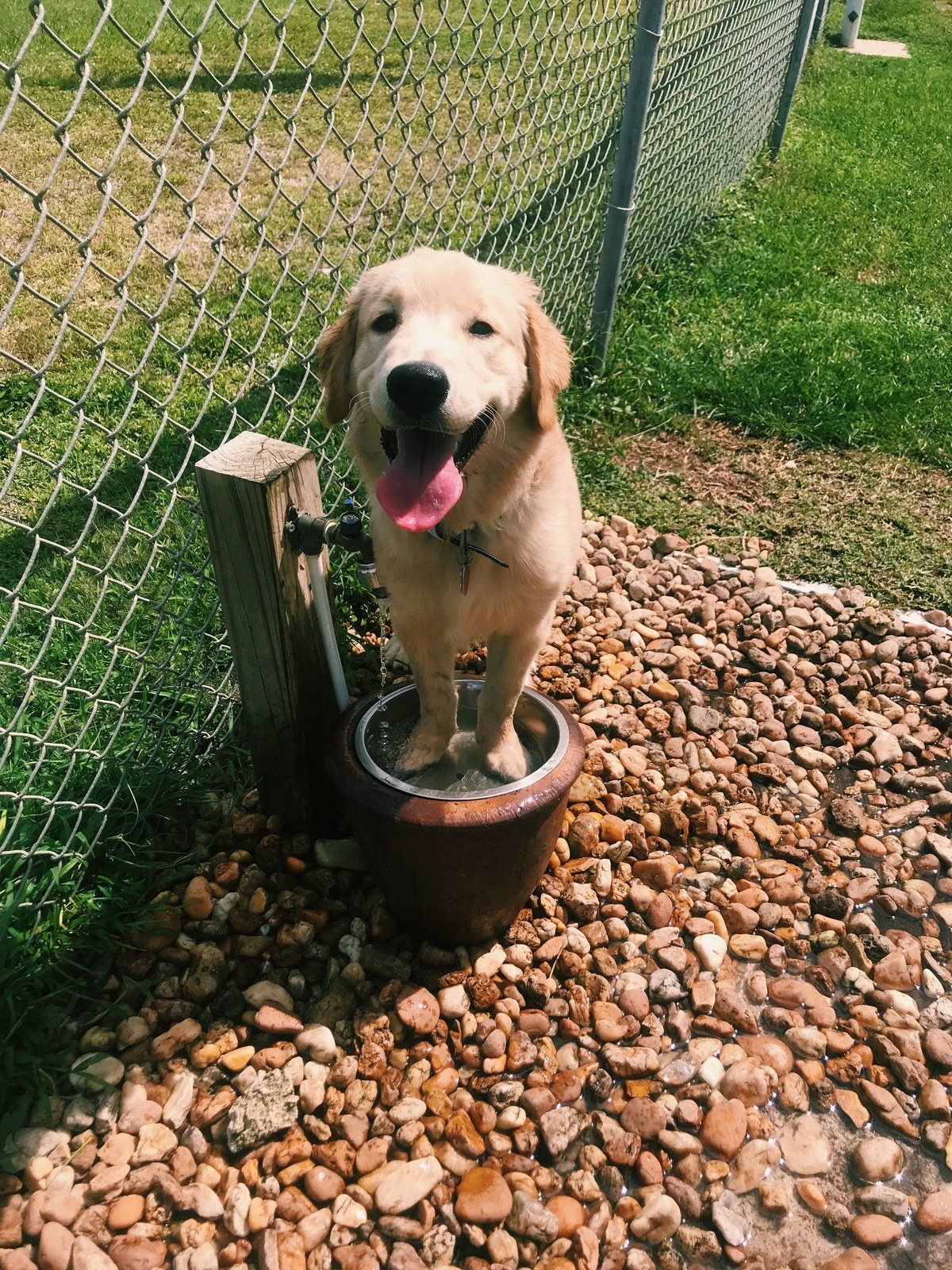 More Water Please!