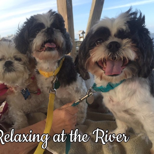 Relaxing At The River