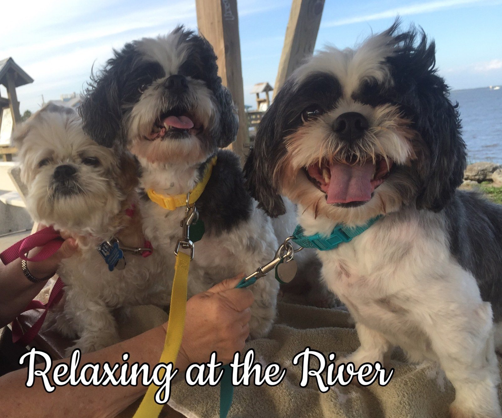 Relaxing At The River