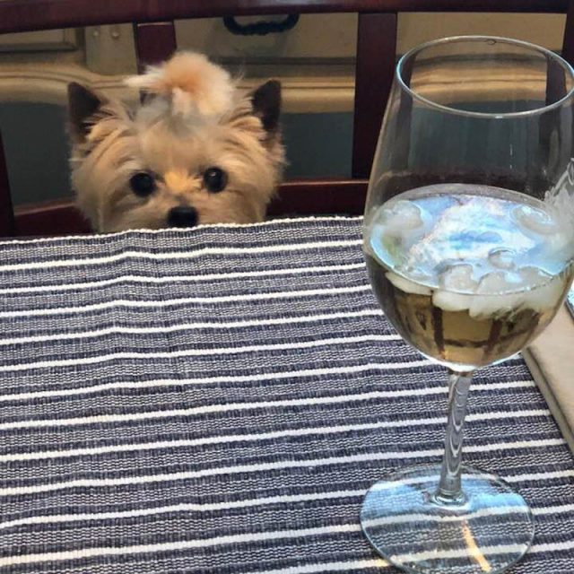 Boozy Baby!