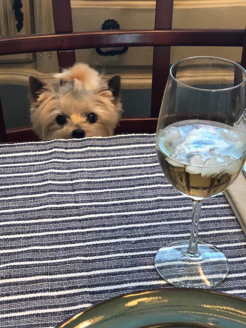 Boozy Baby!