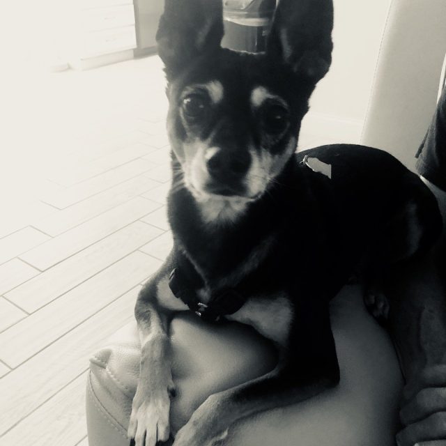 I'm All Ears