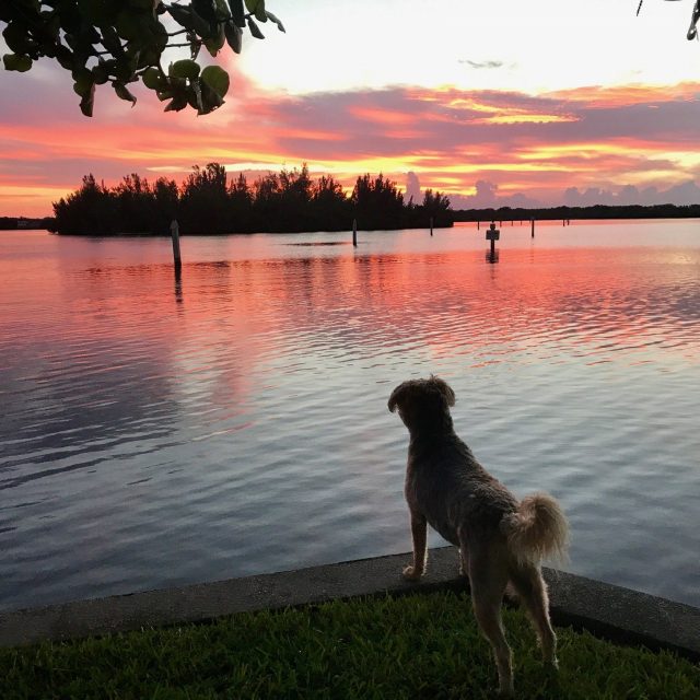 Enjoying A Beautiful Sunrise