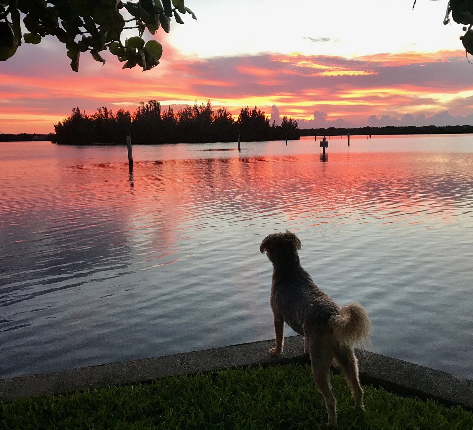 Enjoying A Beautiful Sunrise