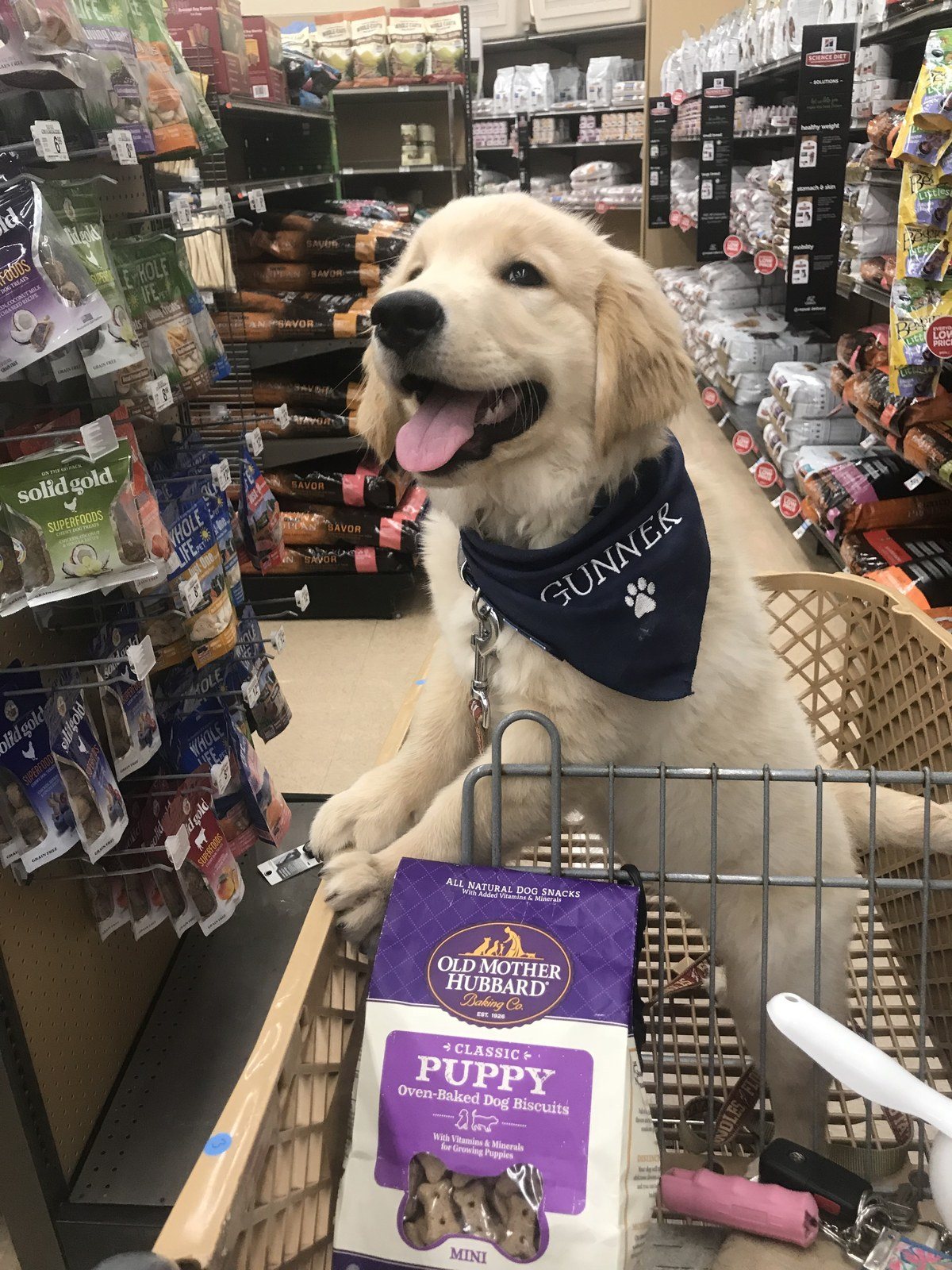 More Treats Plz