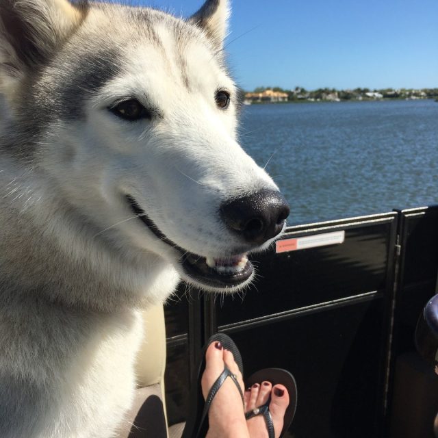 Chillin On The River With Stella