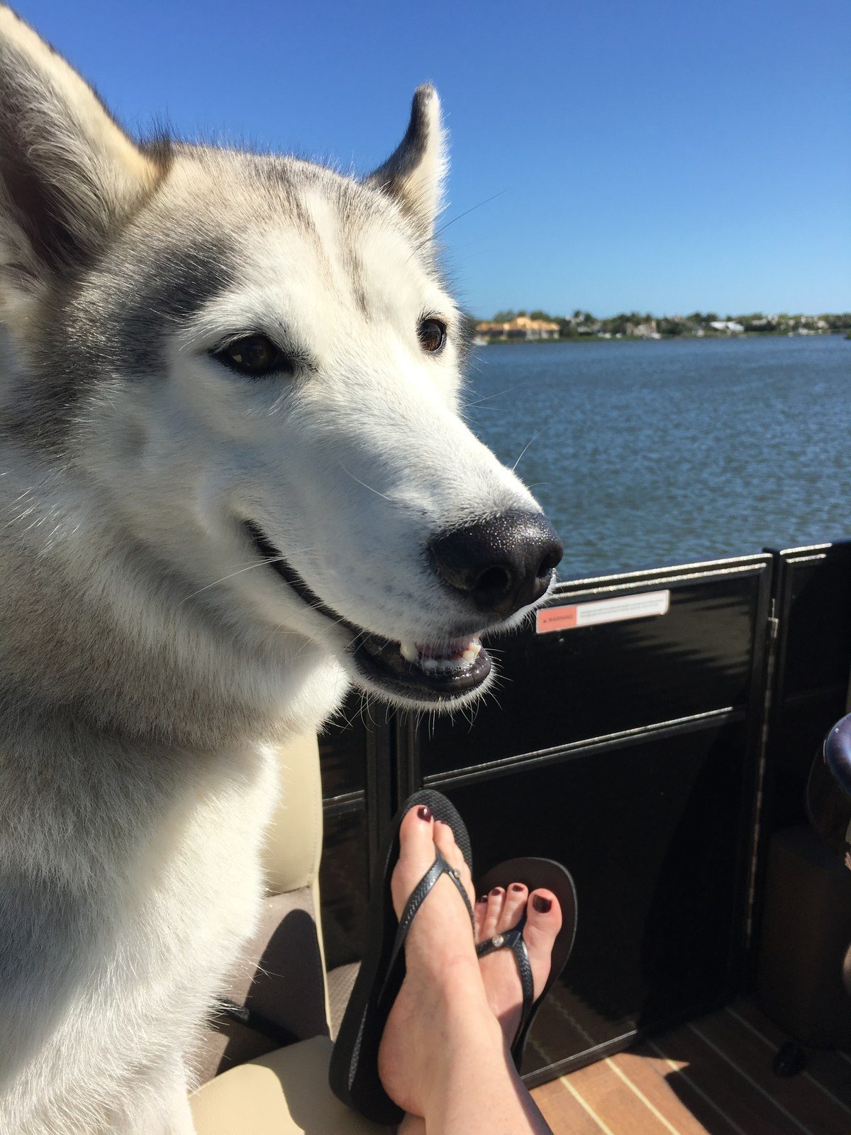 Chillin On The River With Stella