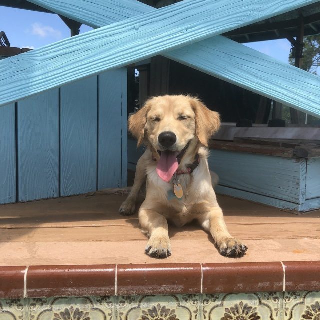 Catching Some Rays!