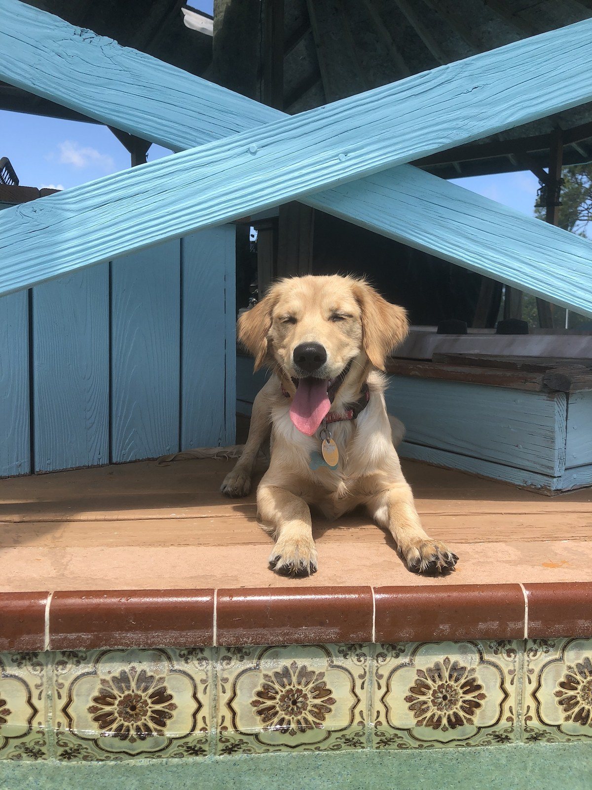 Catching Some Rays!