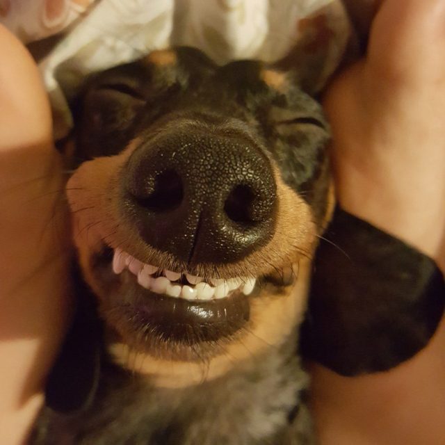 Cheeeeeeze