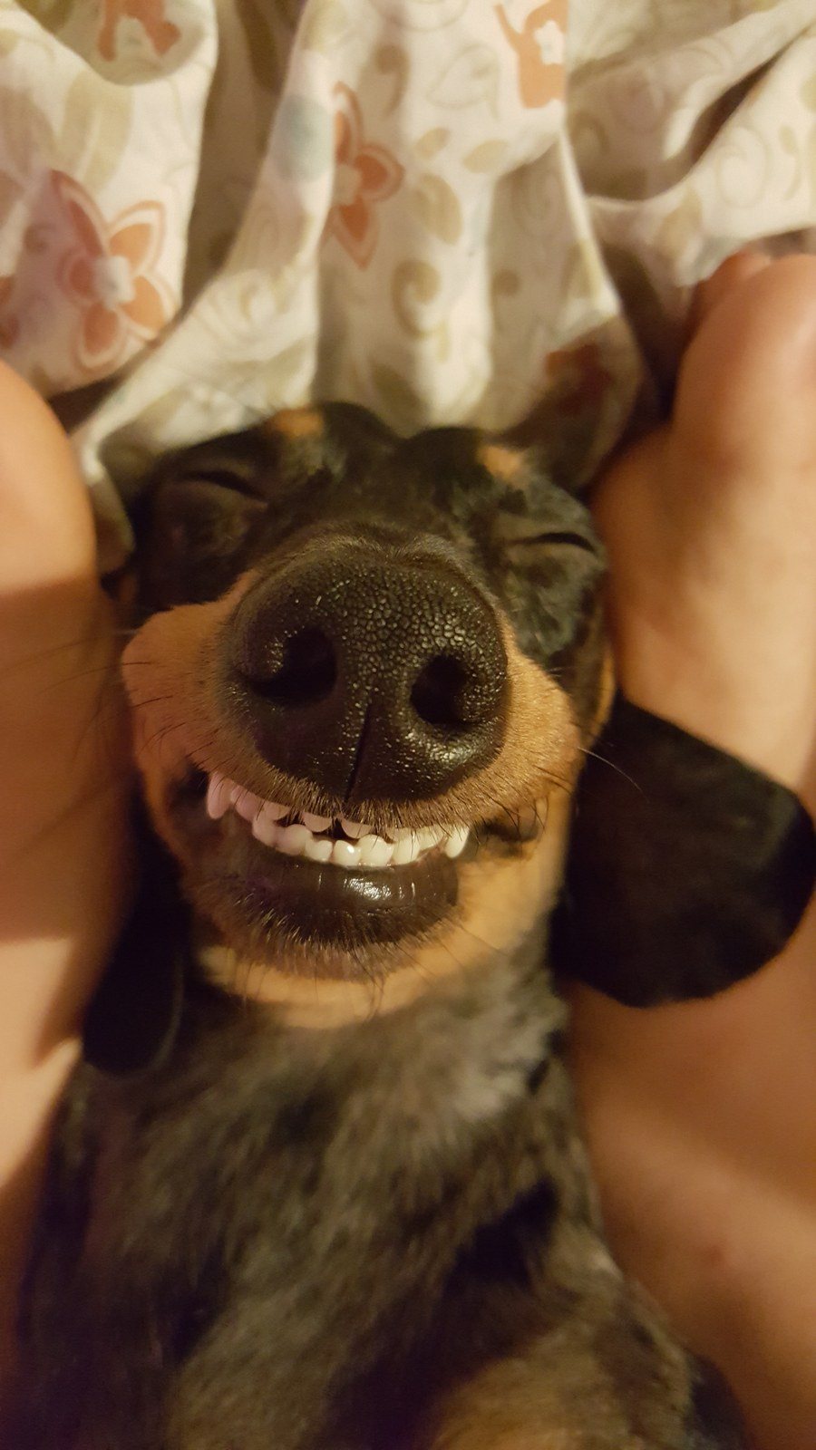 Cheeeeeeze