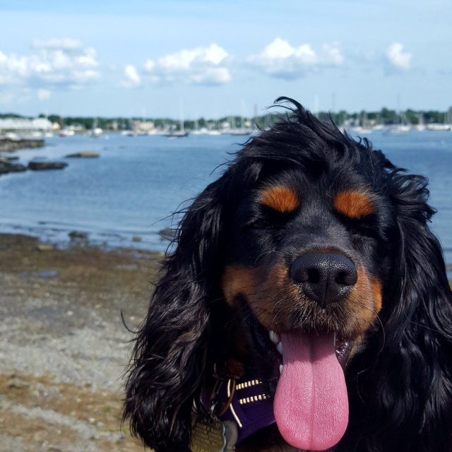 Loves Photos