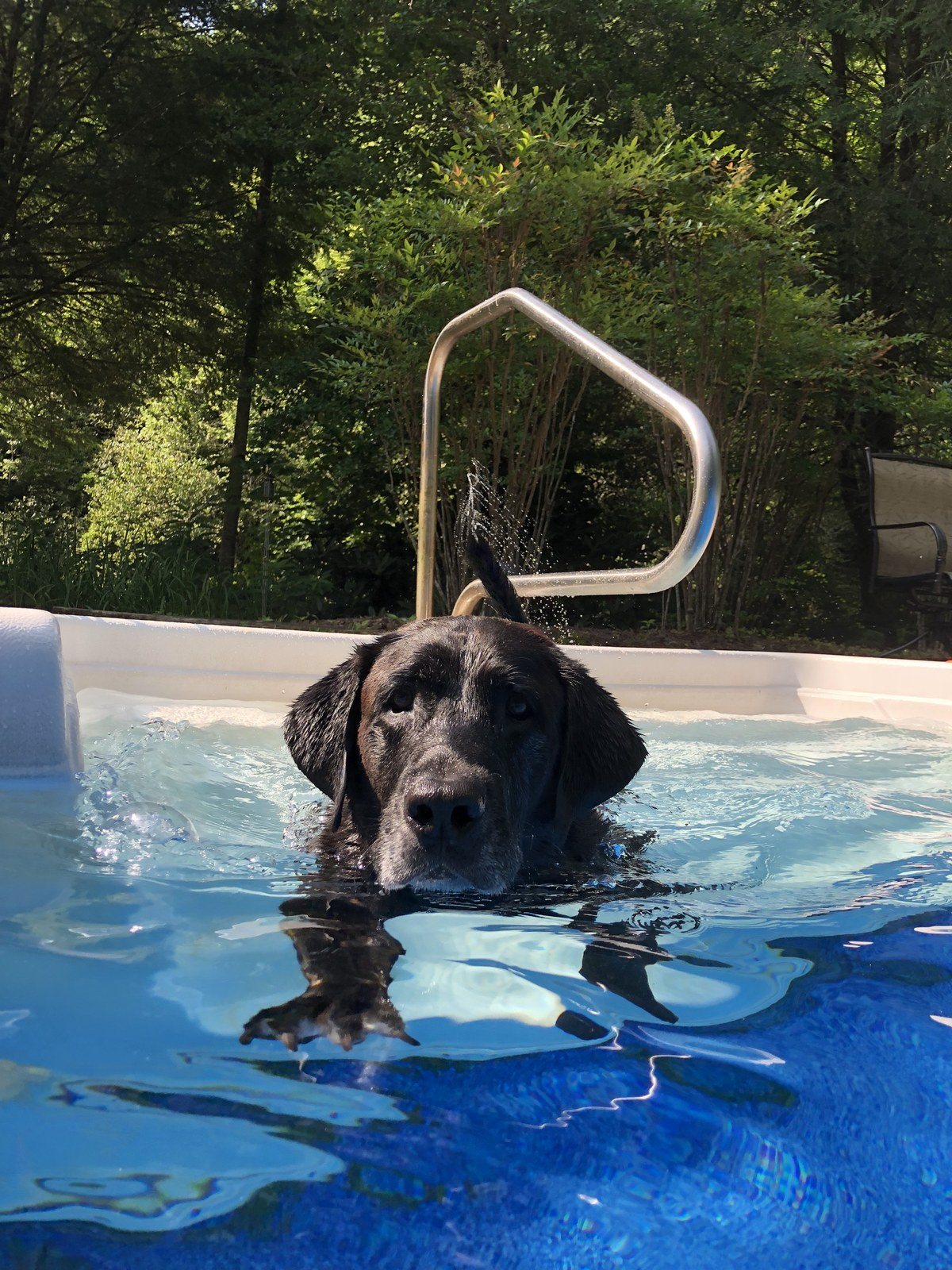 Swim Time For Snoopy