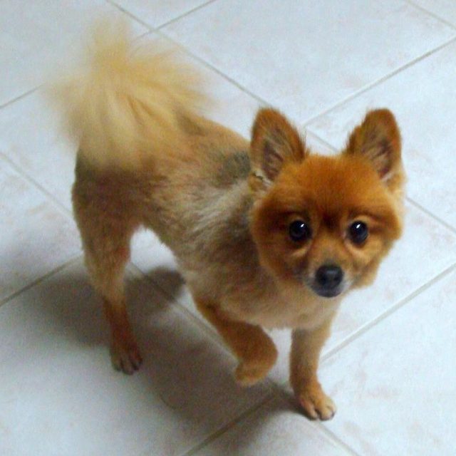Max
