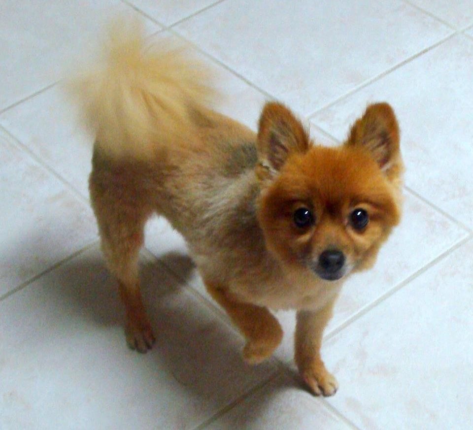 Max