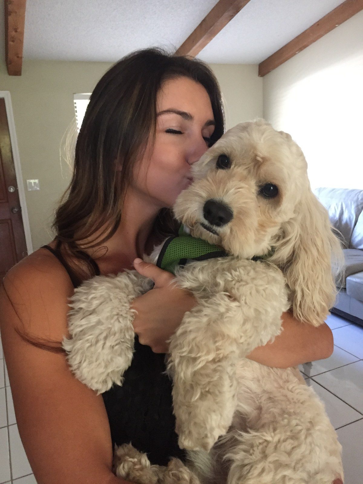 I'm A Lucky Dog