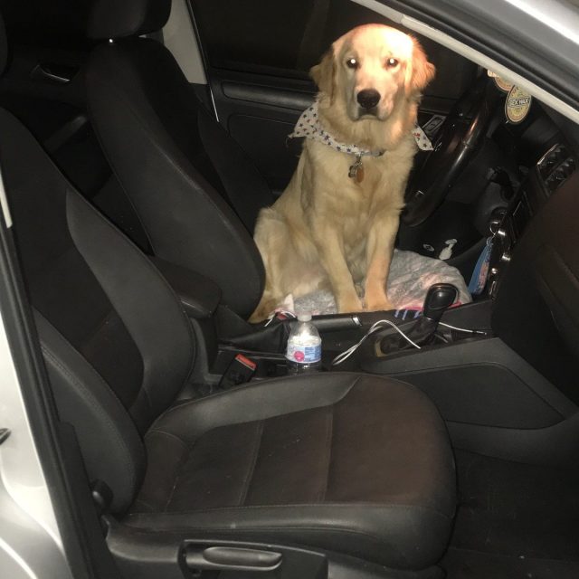 Hop In I'm Ready To Go!