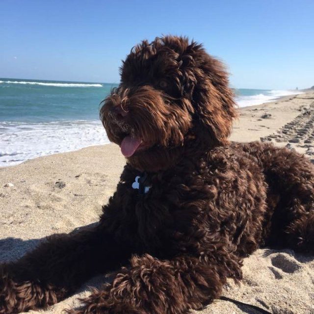 Life As A Beach Bum