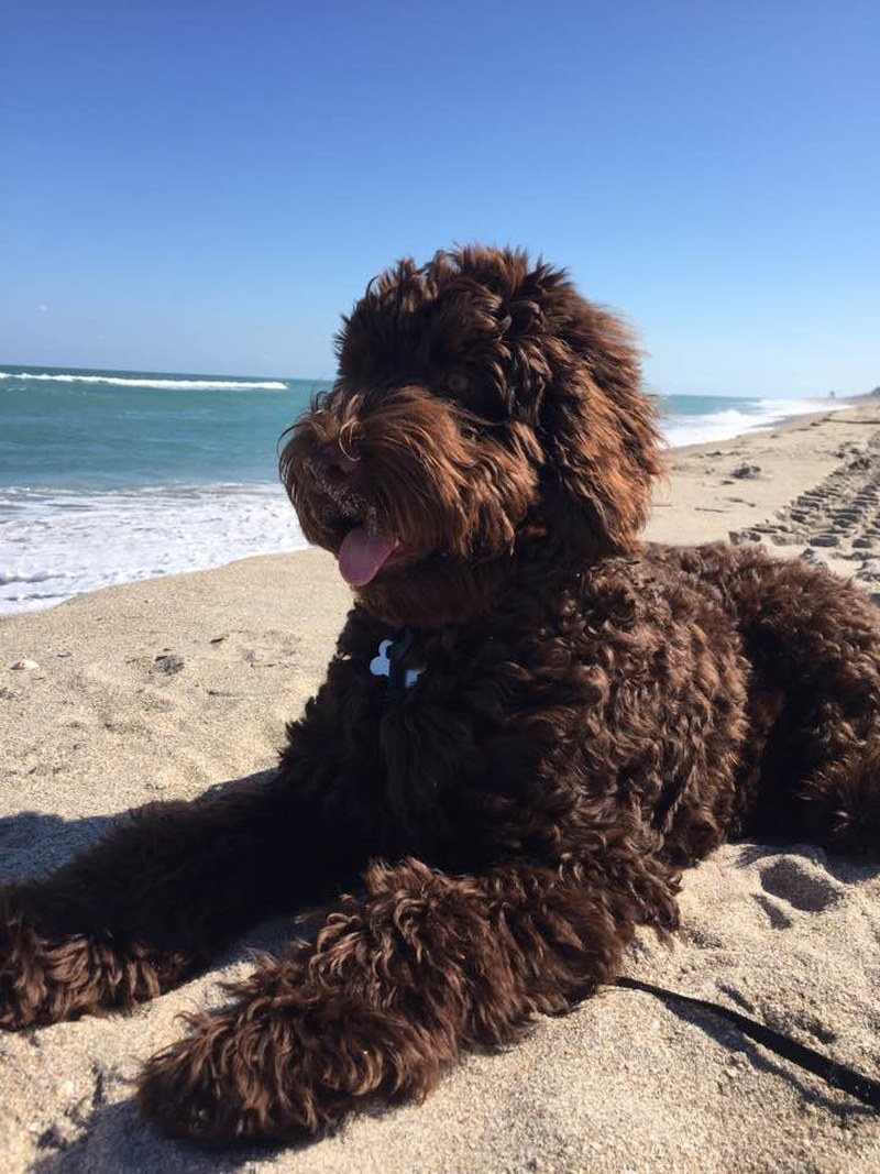 Life As A Beach Bum