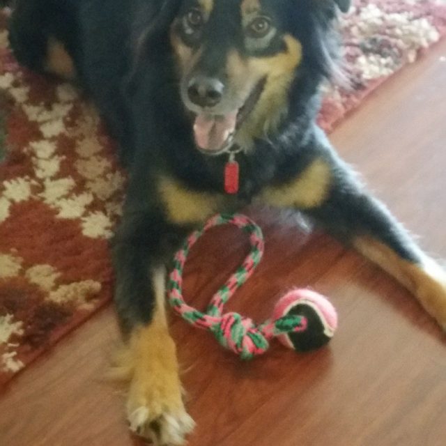 My Happy Girl.... Molly
